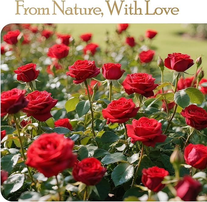 16 Preserved Flowers Rose Birthday Gifts for Women Her Mom Wife Girlfriend Grandma on Valentines Mothers Day Christmas Anniversary Romantic